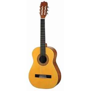  Jasmine by Takamine JS441 Acoustic Guitar Pack: Musical 