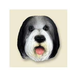  Bearded Collie Doogie Head 