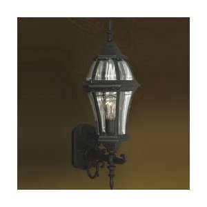  Liz Jordan LJW61010BKP Valley Entrance Outdoor Wall Light 