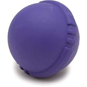  Ruff Toys Bounce and Squeak Ball Dog Toy: Pet Supplies