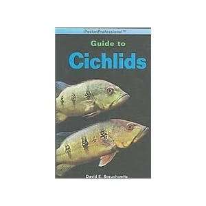  The Pocket Professional Guide To Cichlids