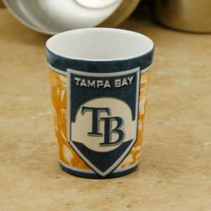  MLB Tampa Bay Rays 2oz. Nostalgic Shot Glass: Sports 