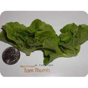 Minicrown Tom Thumb   1   3oz Container (Average 50 Pieces Per 