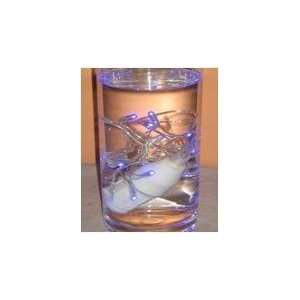  NBG International, Inc. BAQRL20TYAquatic Lights. Case of 