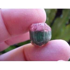  E5018 Gemqz Bicolor Tourmaline Loose Crystal Cute 