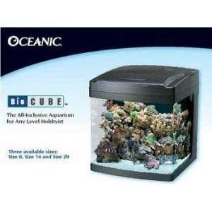  Size 8 Biocube Aquarium System: Kitchen & Dining