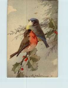 Catharina Klein   The birds Antique colored Postcard(171863)  