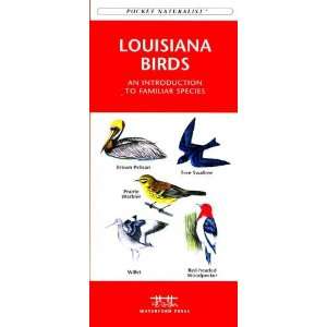  Folding Pocket Guide   Louisiana Birds 