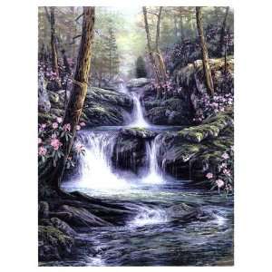 Blue Ridge Falls by Egidio Antonaccio 13x17  Kitchen 