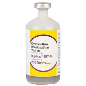  Ingelvac ERY ALC (Boehringer)   250 Dose   174351000