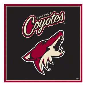 Phoenix Coyotes Paper Cube