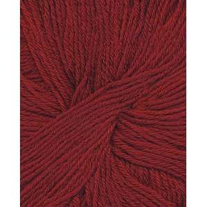  Bouton dOr Baby Superwash Yarn 494 Rubin Arts, Crafts 