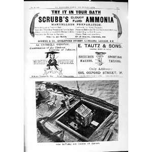  1901 Advertisement Scrubb Ammonia Tautz Varsity Tobacco 