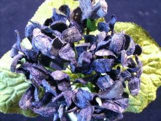 Millinery Flower Velvet Violet Bouquet D Blue Lot Y4  