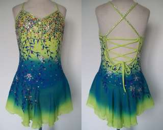 Ice Figure/Roller skating dress/Baton Twirling leotard/Dance Costume 