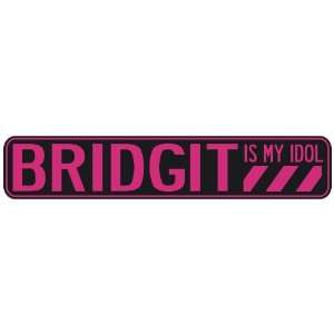   BRIDGIT IS MY IDOL  STREET SIGN