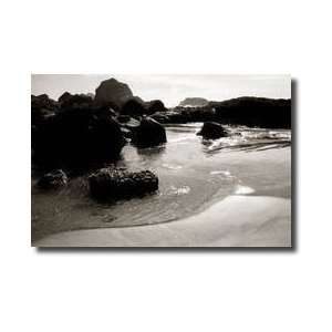  Beach I Giclee Print: Home & Kitchen