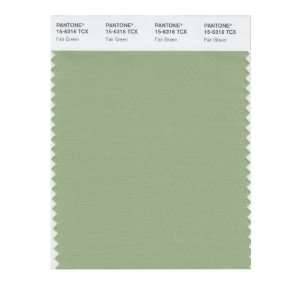  PANTONE SMART 15 6316X Color Swatch Card, Fair Green