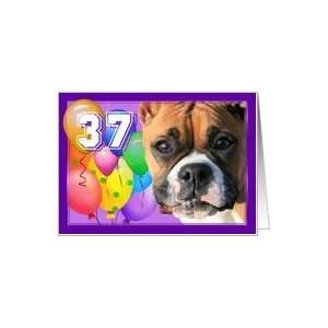  Happy 37th Birthday Boxer Dog Card: Toys & Games
