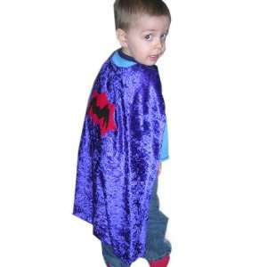   Boys Purple Hero Cape Spiderman Child Size 3 8 Toys & Games