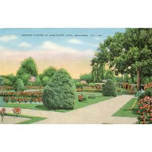  1950s Vintage Postcard   Sunken Garden in Sinnissippi Park 