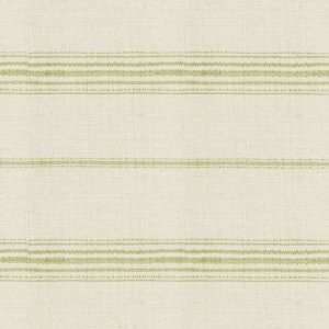  Callisto Stripe Green Fabric by the Yard  Ballard Designs 