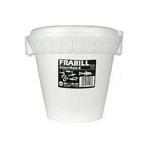  8 QT STYRO MINNOW BUCKET: Sports & Outdoors