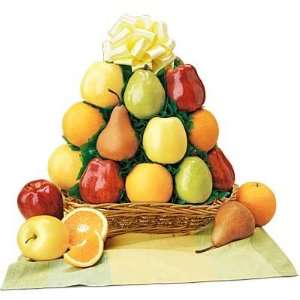 All Fruit Extravaganza Basket:  Grocery & Gourmet Food