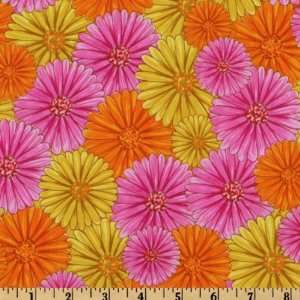  44 Wide Girly Girl Gerber Daisies Multi By The Yard 