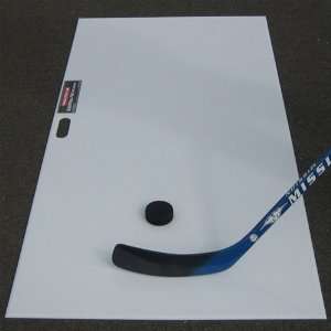 Shooting Pad Hockey Off Ice Trainer Stickhandling Aid:  