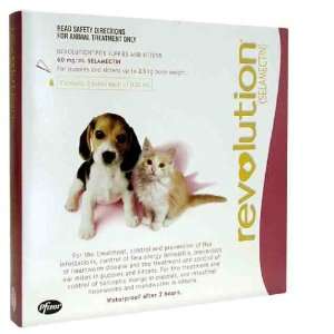  Revolution Pink Pup/Kit 3 Pack