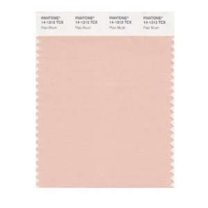  PANTONE SMART 14 1312X Color Swatch Card, Pale Blush: Home 