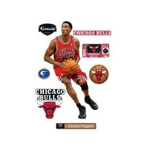    NBA Chicago Bulls Scottie Pippen Wall Graphic: Sports & Outdoors