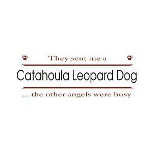  Catahoula Leopard Dog Shirts: Pet Supplies