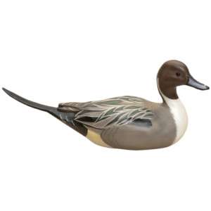 Big Sky Carvers Pintail Duck Solid Pine Wood Carving  