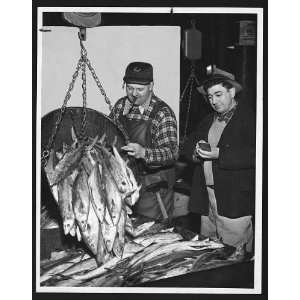   the days catch of fish at Fulton Fish Market,Bronx,New York,1952