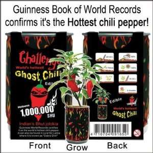  Ghost chili pepper   The hottest pepper in the world 