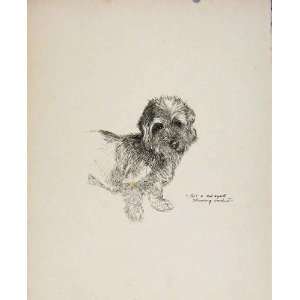   Antique Print RogueS Gallery Drawing Sketch Dog Art
