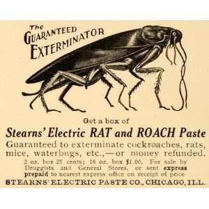  1910 Ad Exterminator Stearns Electric Rat Roach Paste 