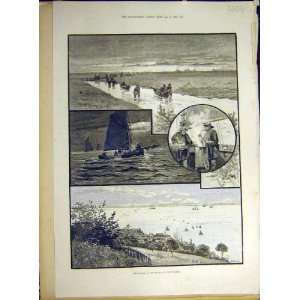  1891 Shrimping Thames River Mouth Shrimp Fishermen
