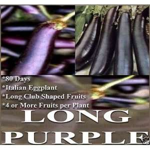  1 oz (6,000+) ITALIAN HEIRLOOM LONG PURPLE Eggplant Seeds 