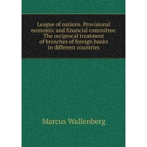   banks in different countries (9785879418415) Marcus Wallenberg Books
