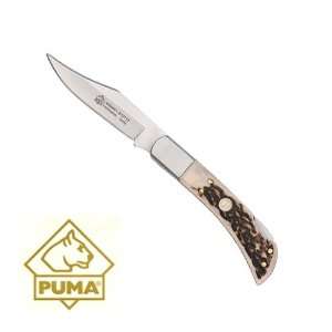  Puma Weasel I Folding Knife Stag