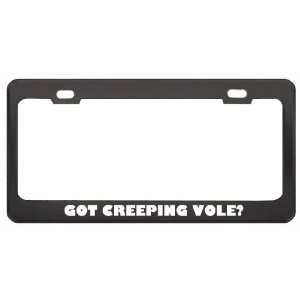 Got Creeping Vole? Animals Pets Black Metal License Plate Frame Holder 