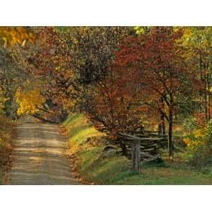  Fall Colors, View Of Country Land, Loudoun County, Virginia 