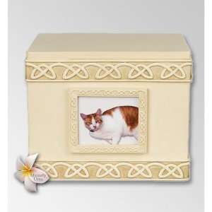  Cat Keepsake Box 1 Keepsake Cremation Urn: Home & Kitchen