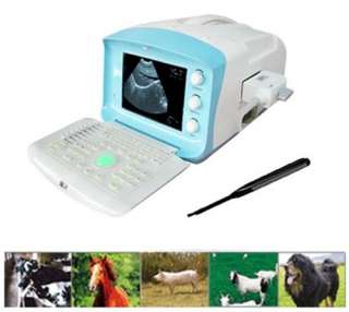 VET Portable Ultrasound Scanner with Micro Convex 6000V  