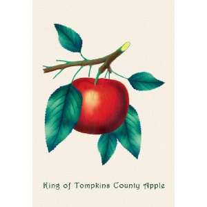  King of Tompkins County Apple 28x42 Giclee on Canvas