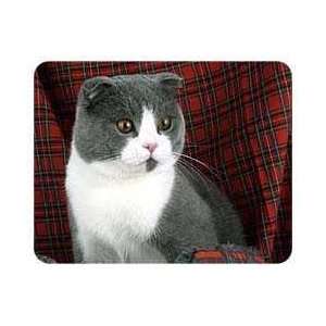  Scottish Fold Cat Coasters