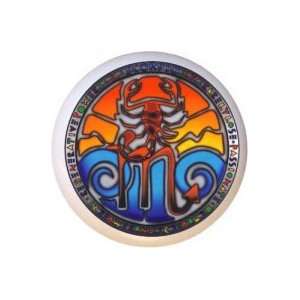  Zodiac Astrology Scorpio Drawer Pull Knob: Home 